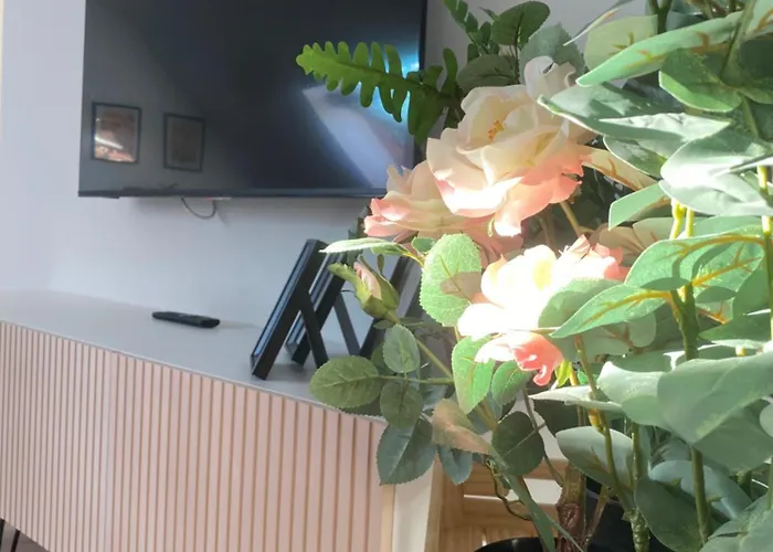 Appartement Valentina Rua